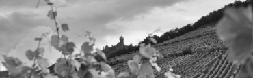 Voir les produits de la catégorie Alsace Image de la catégorie Alsace