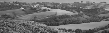 Voir les produits de la catégorie Basque Image de la catégorie Basque