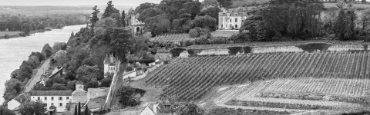 Voir les produits de la catégorie Chinon Image de la catégorie Chinon