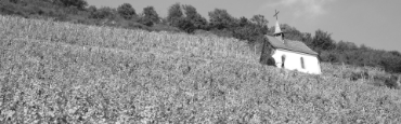 Voir les produits de la catégorie Côtes du Rhône Image de la catégorie Côtes du Rhône
