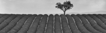 Voir les produits de la catégorie Roussillon Image de la catégorie Roussillon