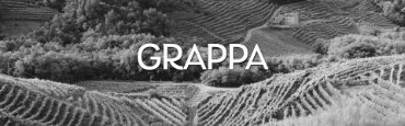 Voir les produits de la catégorie Grappa Image de la catégorie Grappa