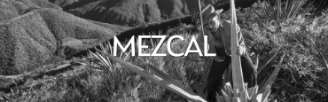 Voir les produits de la catégorie Mezcal Image de la catégorie Mezcal