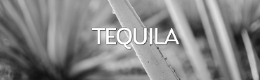 Voir les produits de la catégorie Tequila Image de la catégorie Tequila