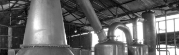 Voir les produits de la catégorie Rum Image de la catégorie Rum