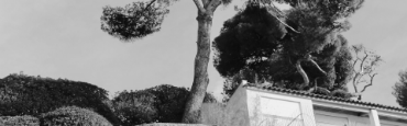 Voir les produits de la catégorie Bandol Image de la catégorie Bandol