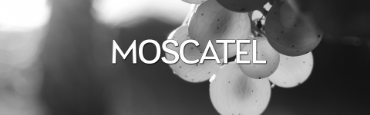 Voir les produits de la catégorie Moscatel Image de la catégorie Moscatel