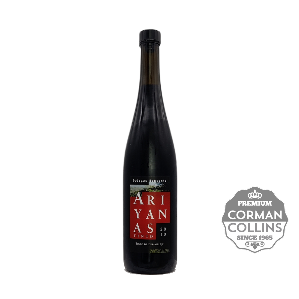 Image de BENTOMIZ ARIYANAS TINTO 75 CL 2010 PETIT VERDOT TEMPRANILLO ROME