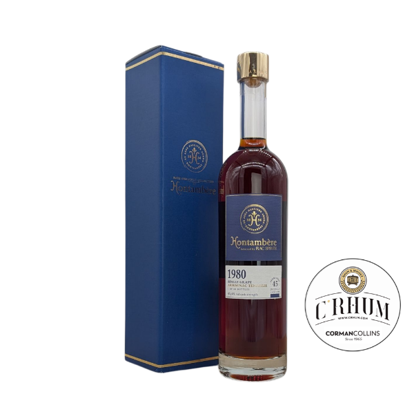 Image de DOMAINE DE HONTAMBERE 1980 70CL